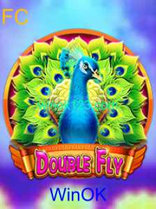 Tudo o que você precisa saber sobre o jogo DoubleFly